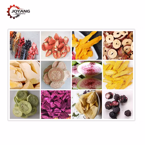Frutas industriales Chips Secadora congelada Verduras Queso Carne Pollo Secador por congelación al vacío