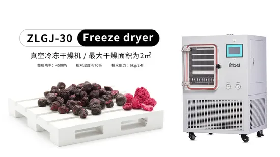 Freeze Drying Equipment Stainless Steel Lab Vacuum Freeze Dryer