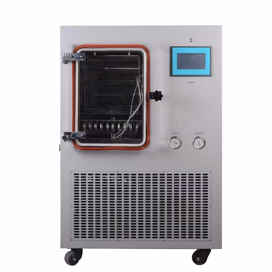 Freeze Drying Equipment Stainless Steel Lab Vacuum Freeze Dryer