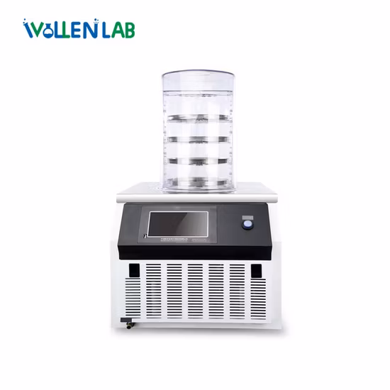Lab Small Low Temperature Vacuum Bench Top Freeze Dryer