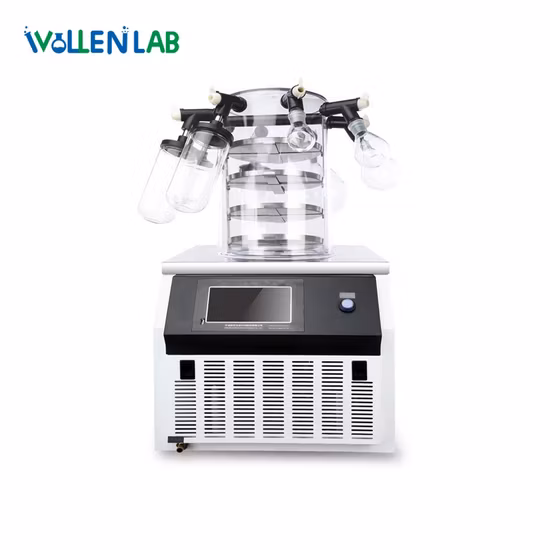 Lab Small Low Temperature Vacuum Bench Top Freeze Dryer