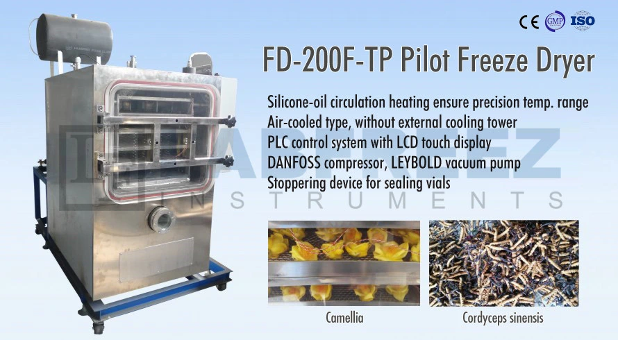 Pilot Automatic Vacuum Freeze Dryer for Food and Medicine 10kg/24h