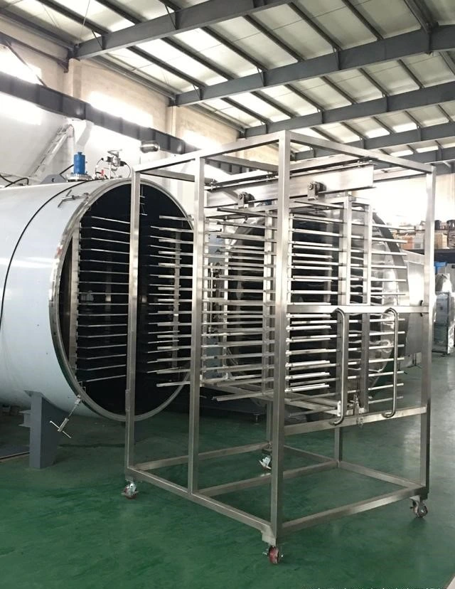 Lyophilized Apple/Lemon Vacuum Freeze Drying Machine Lyophilizer Freeze Dryer