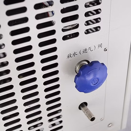 Freeze Drying Equipment Stainless Steel Lab Vacuum Freeze Dryer