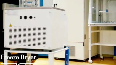 Biobase China Lab Pilot Secador por congelación al vacío Fabricante de equipos de liofilización