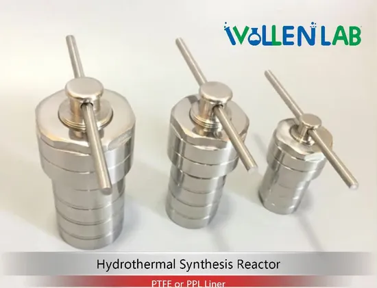 Laboratorio químico Autoclave Acero inoxidable 100ml PTFE Liner Reactores de síntesis hidrotermal