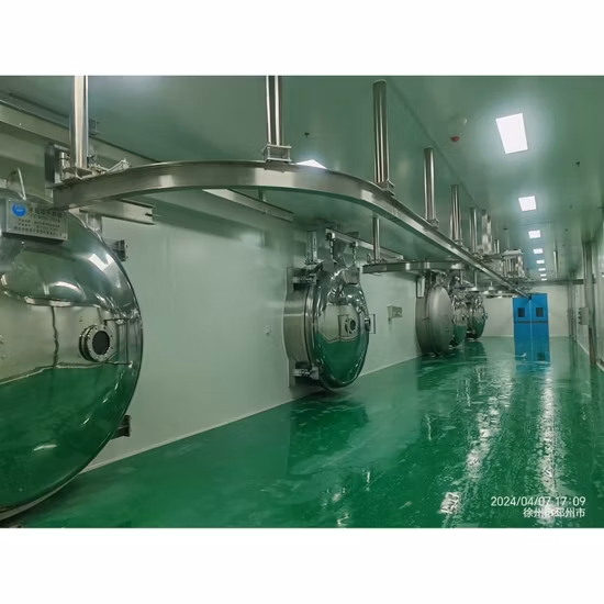 Placenta en polvo Fruta Vacío Alimentos Secadores por congelación Liofilizadores Precio Secador por congelación industrial